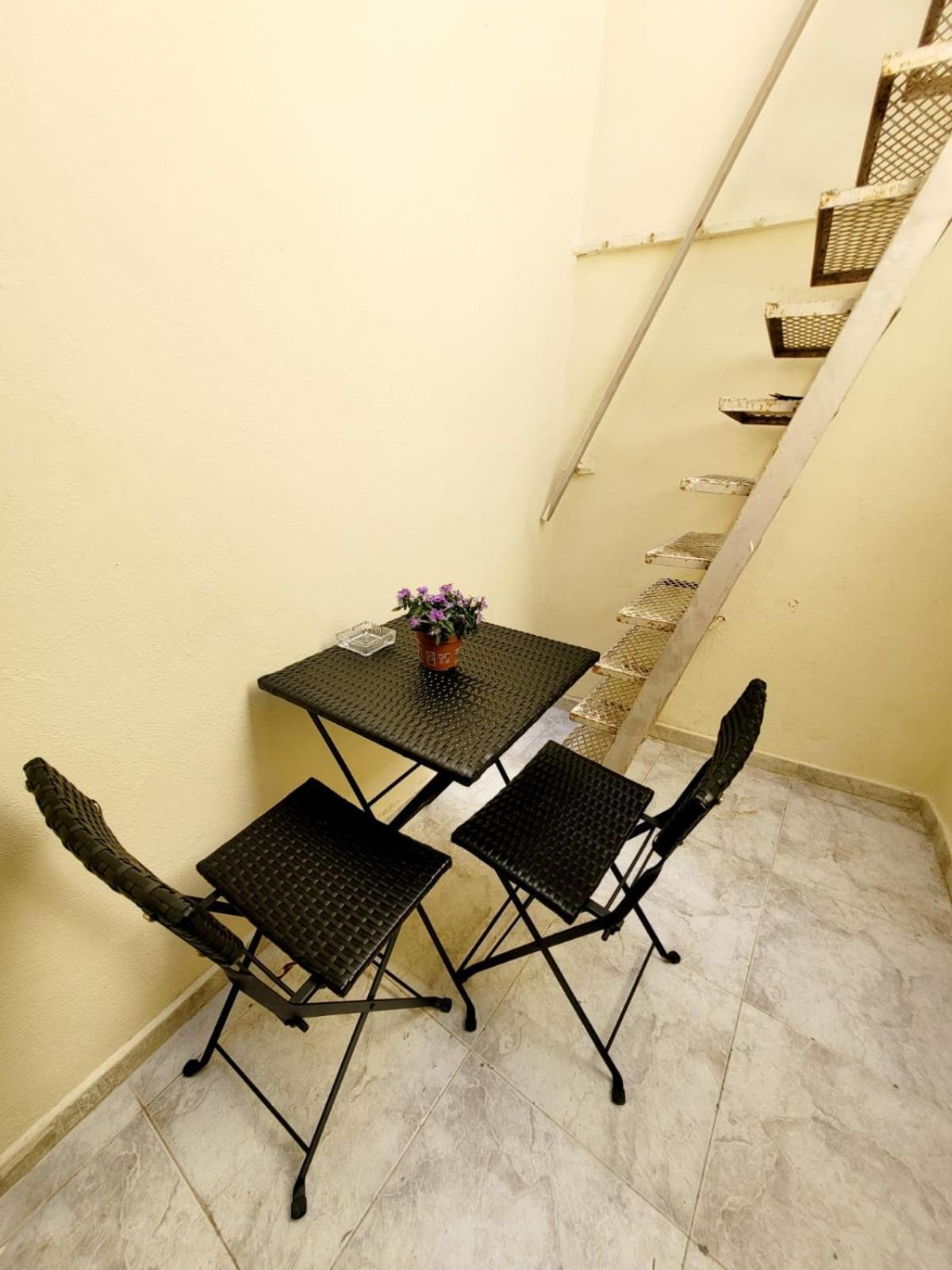 Sunflower Maltese House In Apartment *